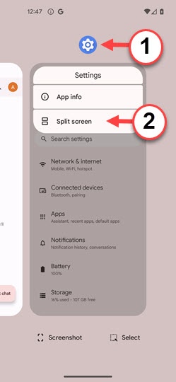 Google Pixel 9 / 9 Pro / 9 Pro XL - Use Multi Window | Verizon