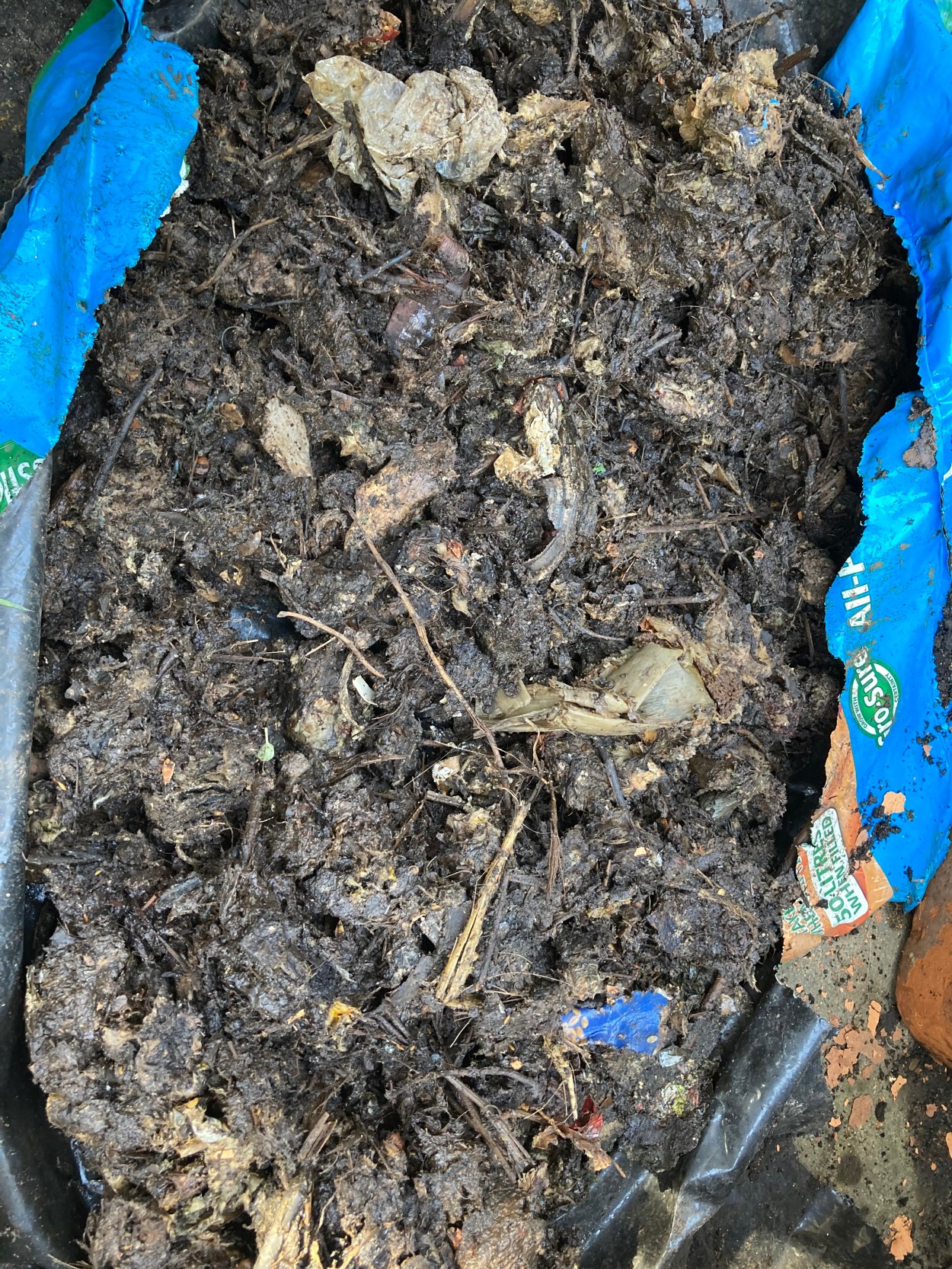 Smelly Compost My Garden