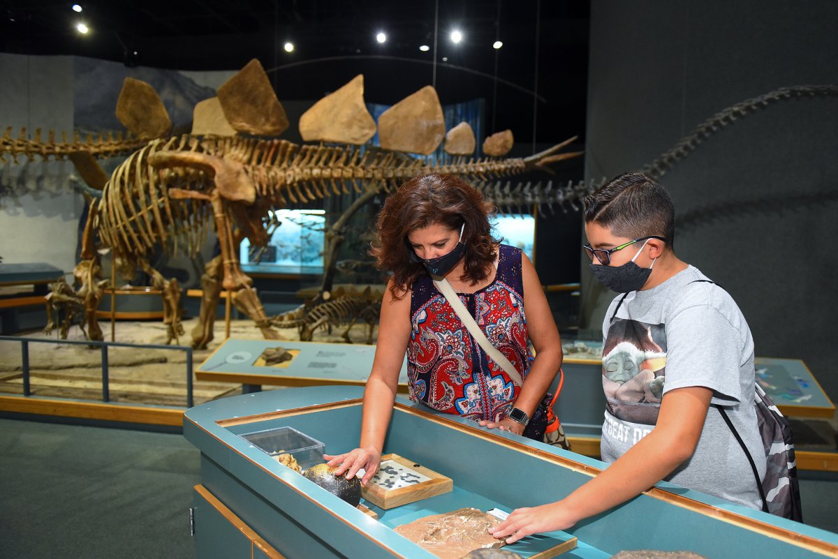 English Learners in STEM Smithsonian Science Education