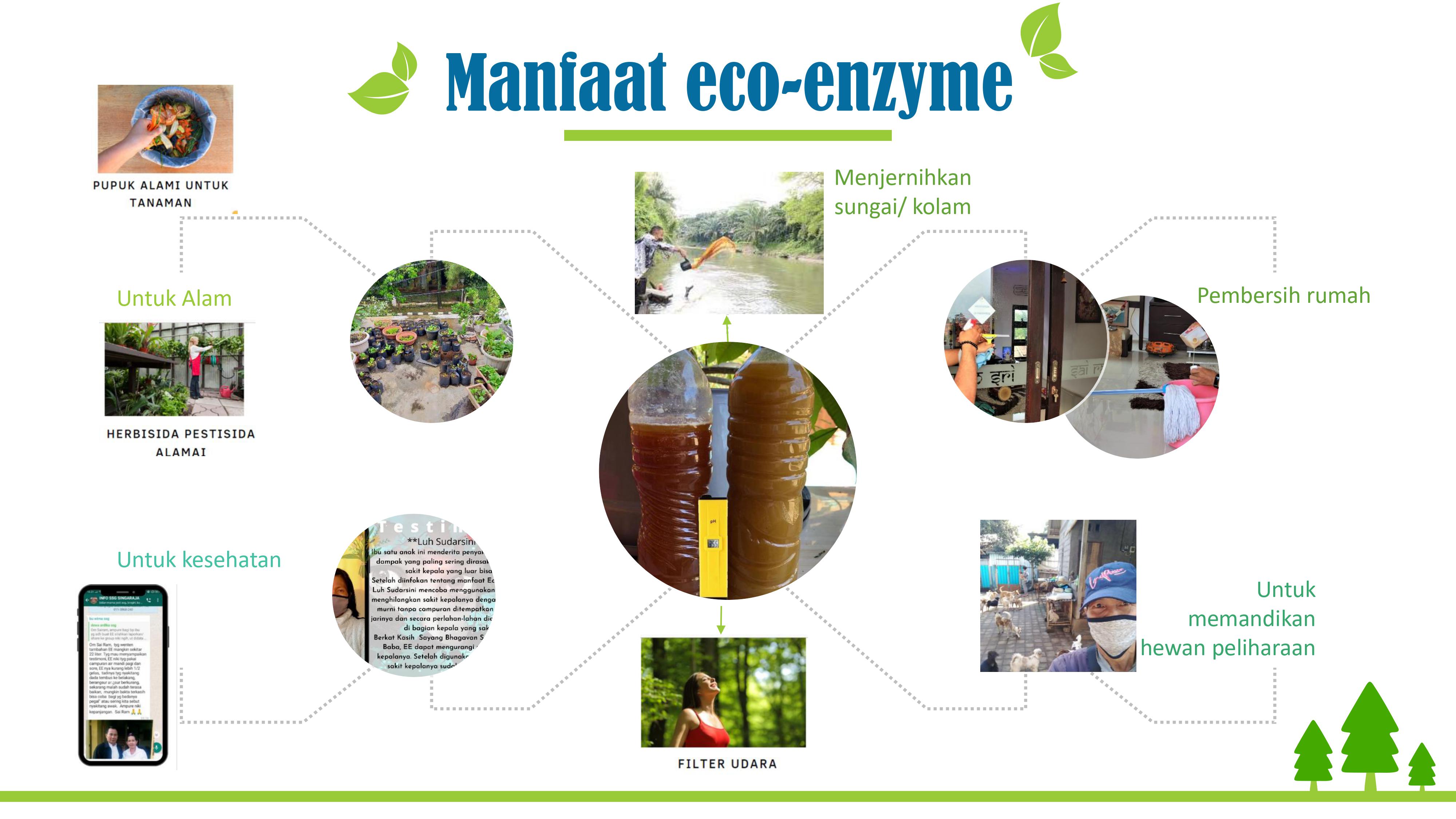 Manfaat Eco Enzyme Sai Study Group Indonesia