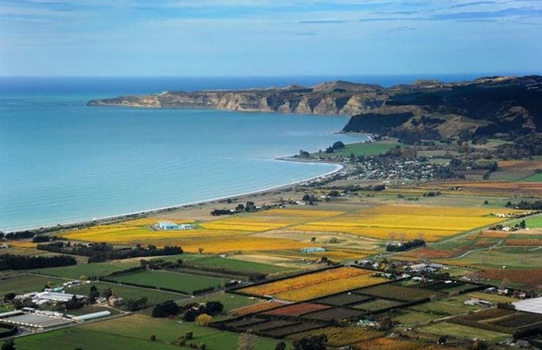 House And Land Packages Live In Hawkes Bay SS Homes