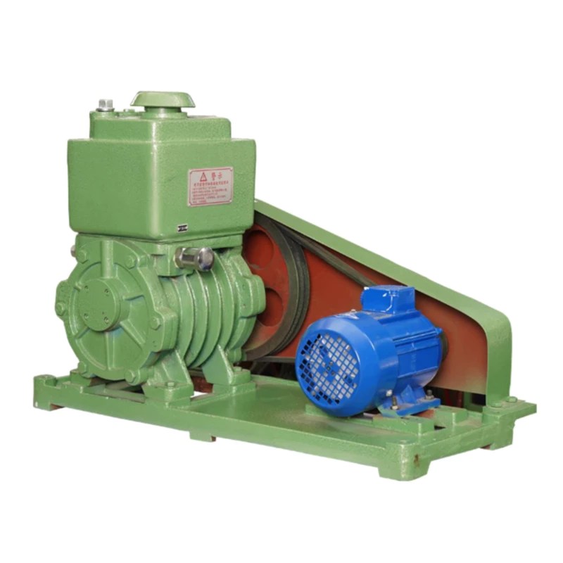 Common Issues with Rotary Vane Vacuum Pump Spare Parts and Accessories manufacturer, suppliers