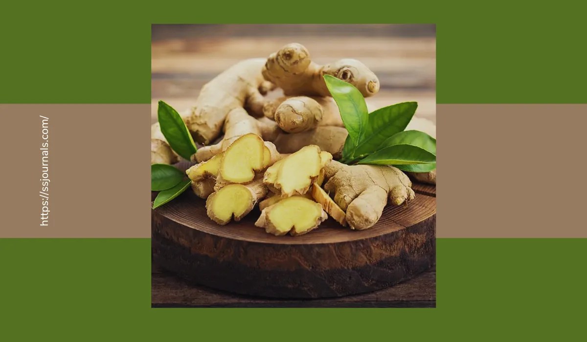 How To Use Ginger For Constipation? Nature's Remedy