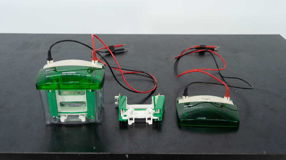 BioRad MiniProtean Tetra System Surplus Solutions