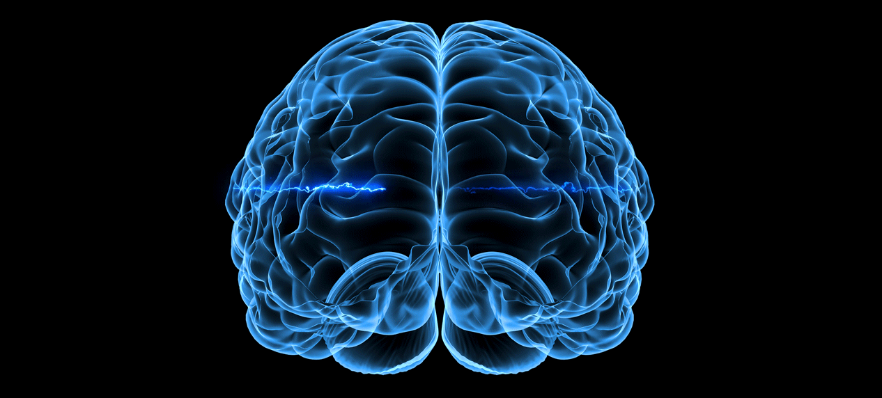 الخلايا الجذعية ثورة في علم الأعصاب المتقدّم باحثون