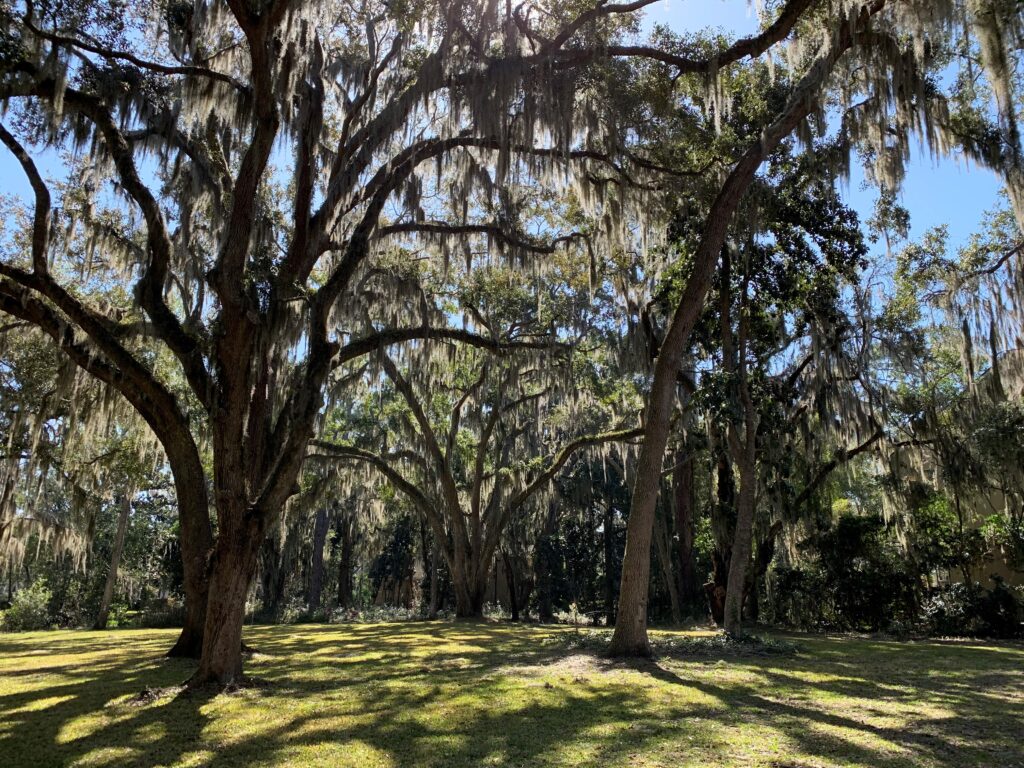 Land Trust Office St. Simons Land Trust