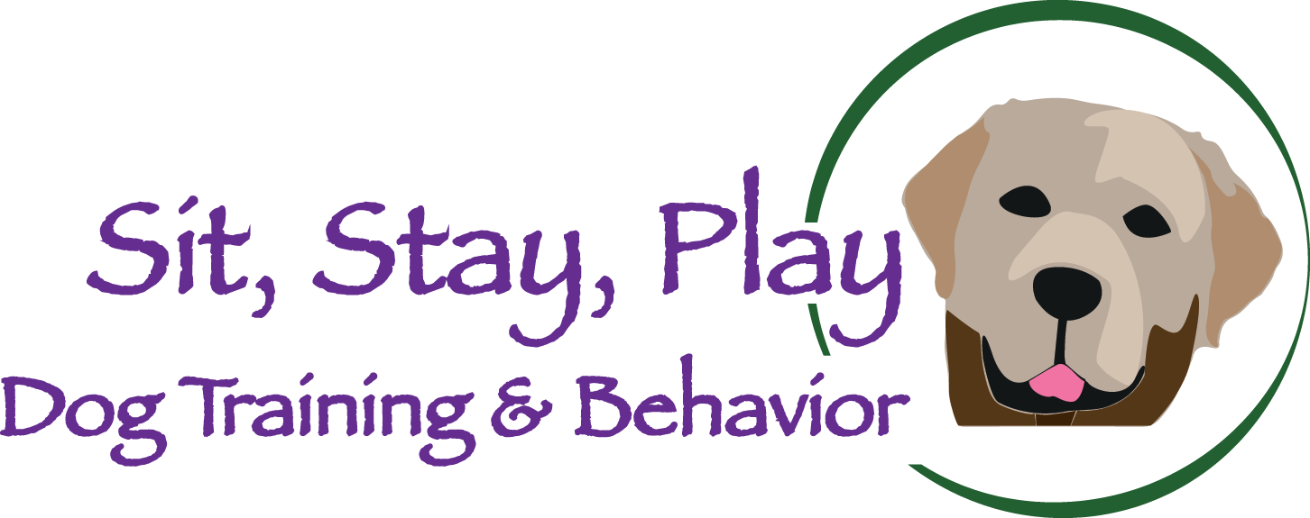 About Sit, Stay, Play Dog Training
