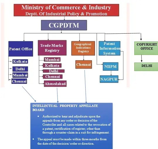 How Many Types Of Court Are There? Exploring Legal Diversity