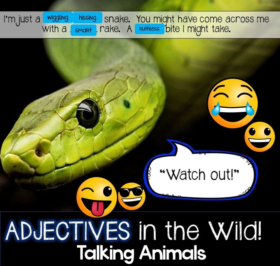 Our Silly Adjective Zoo Teaching Adjectives the Animal Way SSSTeaching