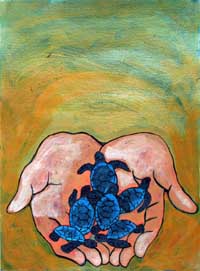 Students’ Sea Turtle Conservation Network