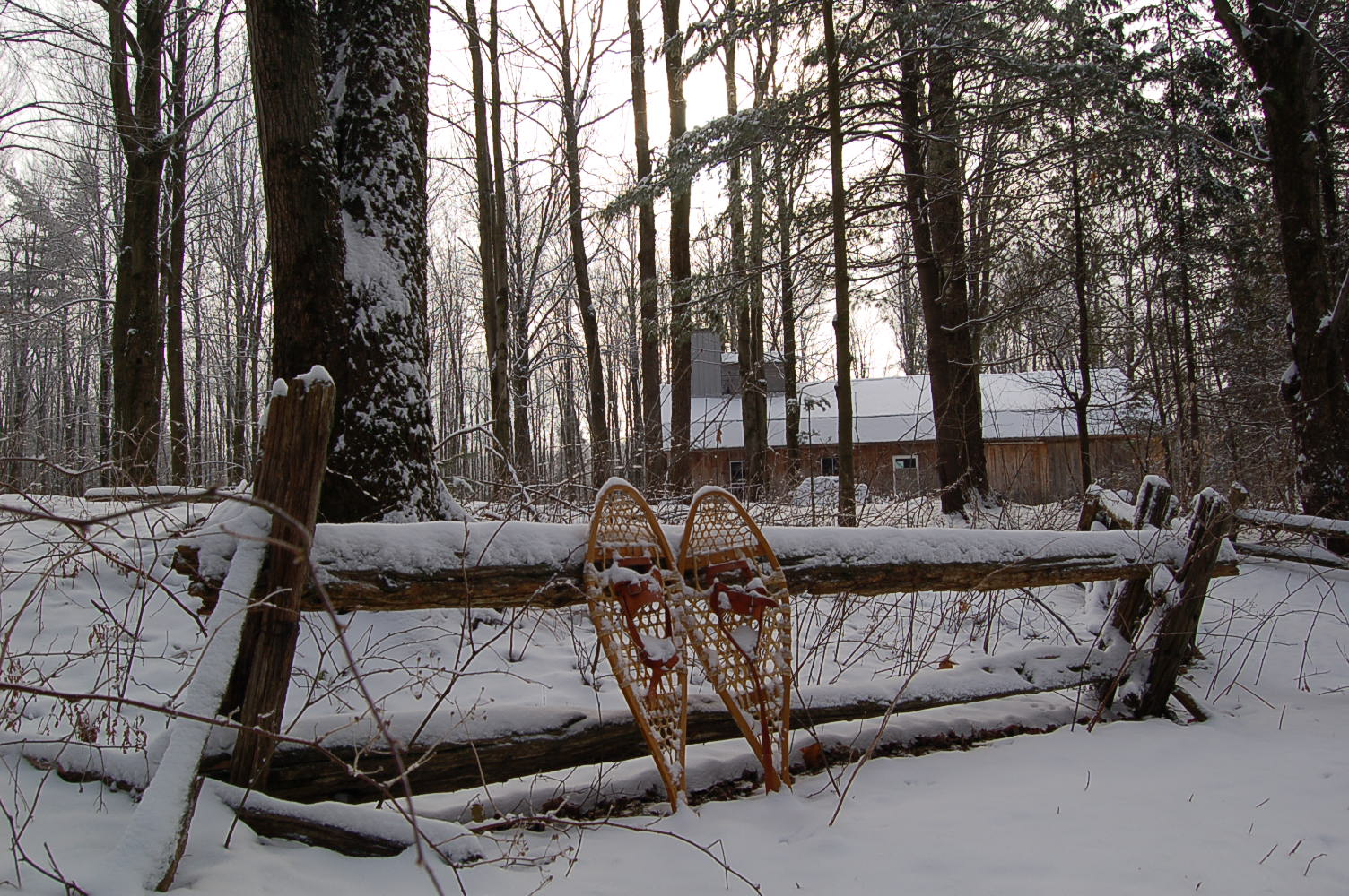 En images SaintJoachimdeShefford