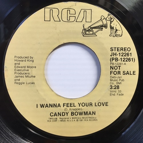 I WANNA FEEL YOUR LOVE/CANDY BOWMAN｜SOUL/BLUES/GOSPEL｜ディスクユニオン･オンライン