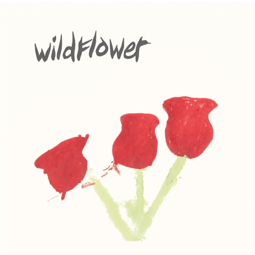 Better Times(12")/WILDFLOWER(UK