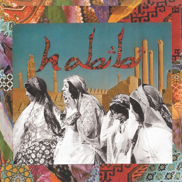 HABIBI (CD)/HABIBI/ハビビ/[輸入CD] NYブルックリンのインディ / ガールズ・ガレージ・バンド 2013年デビュー作が