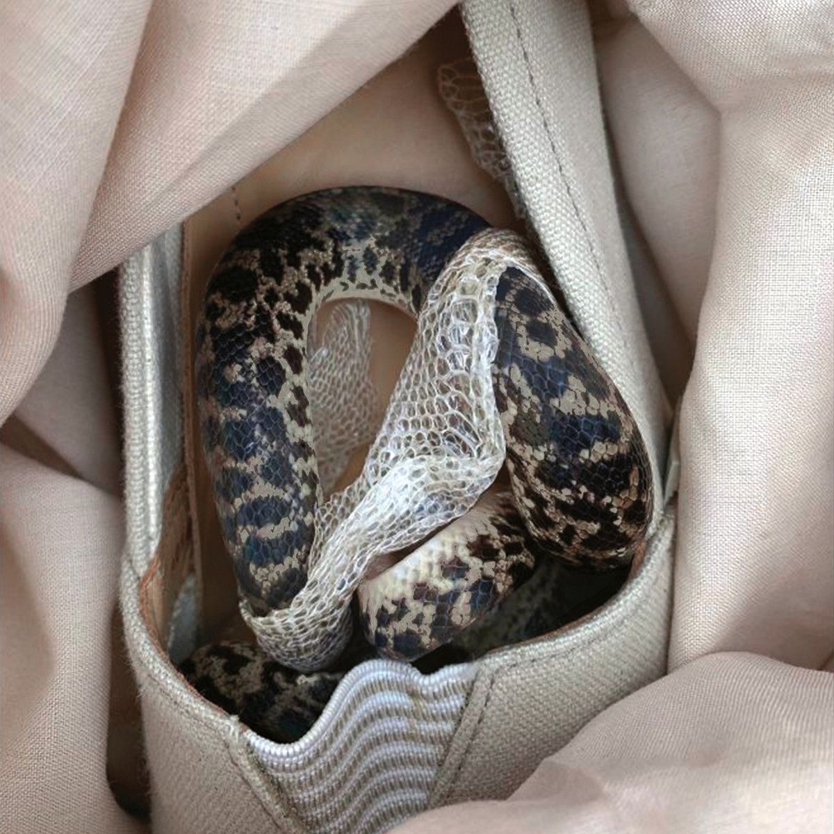 PARIS PARIS, TEXAS TEXAS/MORE EAZE, PARDO & GLASS/名作『パリ、テキサス』をモチーフにした