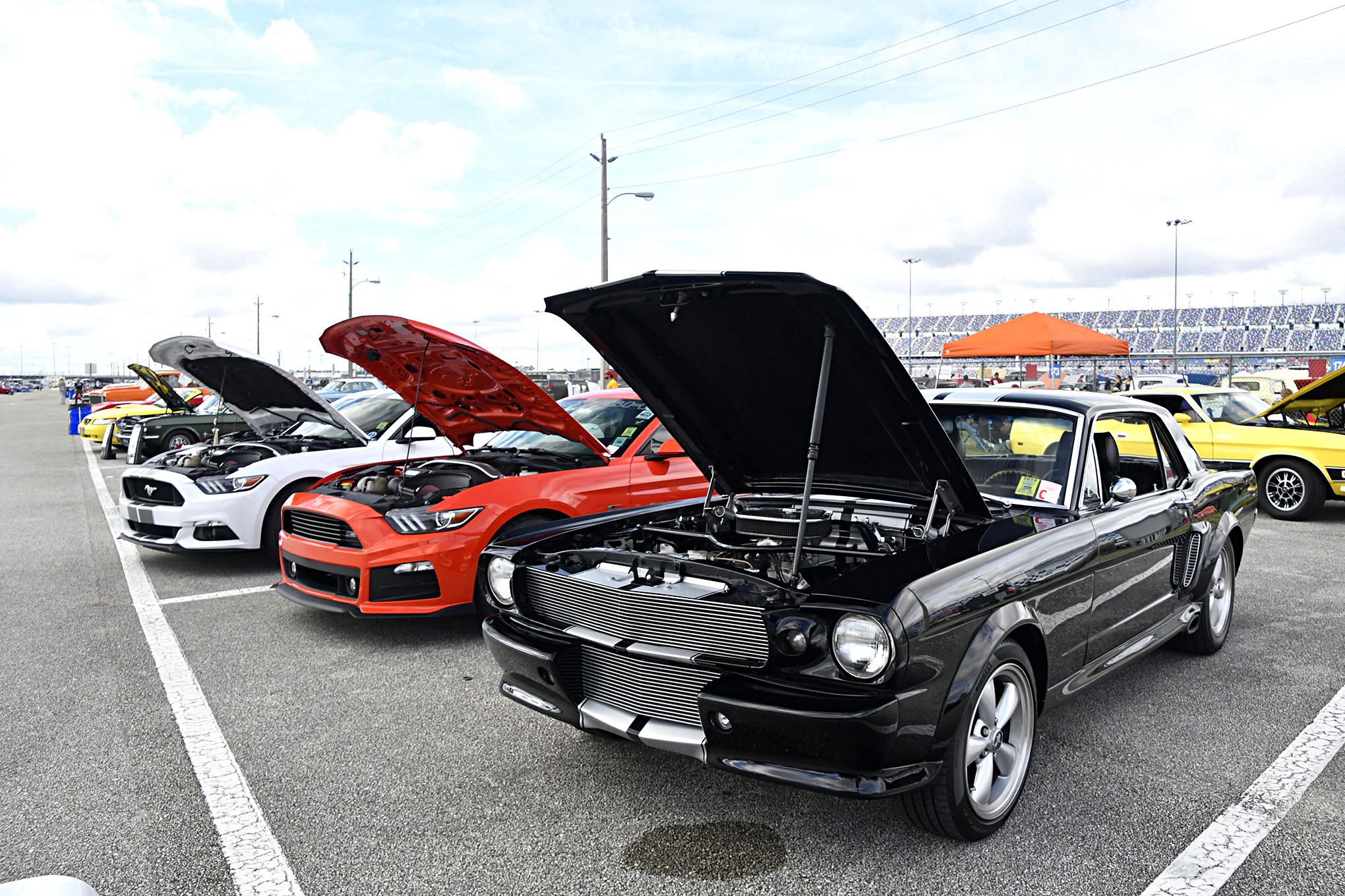 Daytona Spring Turkey Run 2023