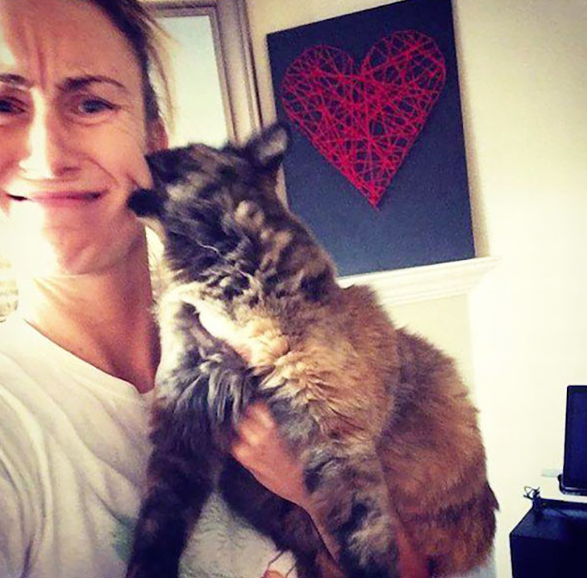 Gatti stanchi dei selfie così i simpatici felini cercano di suggerire