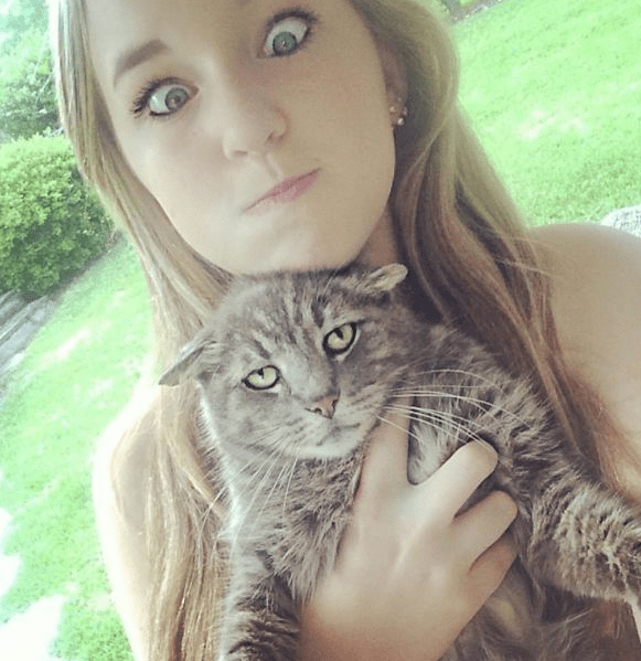 Gatti stanchi dei selfie così i simpatici felini cercano di suggerire