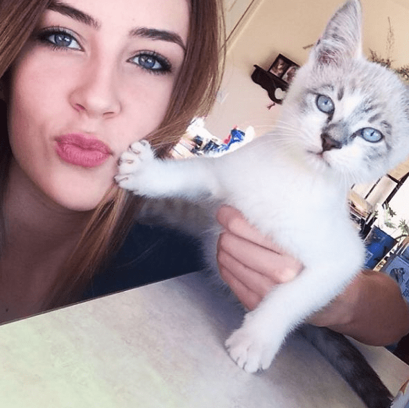 Gatti stanchi dei selfie così i simpatici felini cercano di suggerire