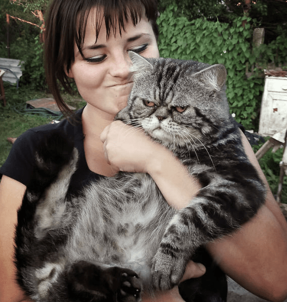 Gatti stanchi dei selfie così i simpatici felini cercano di suggerire