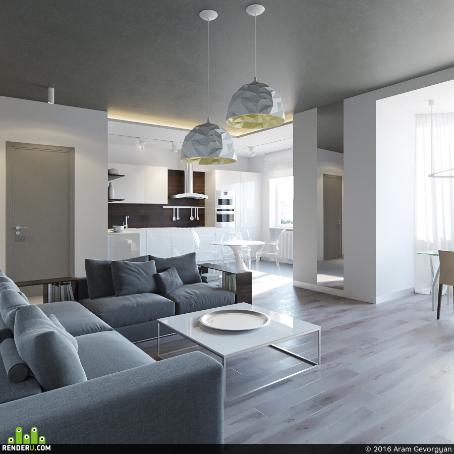 Apartment in Moscow (living room, kitchen,