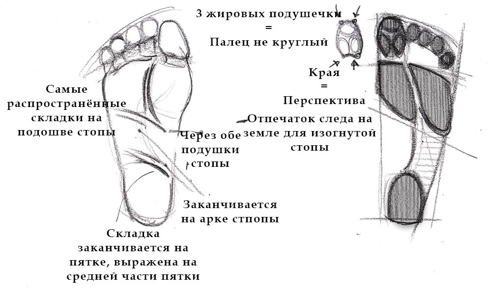 как рисовать стопы ног