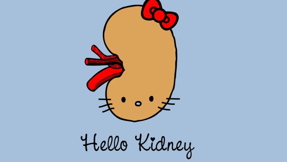 World Kidney Day 2018 Funny Jokes on Kidneys and Kidney Stones Will