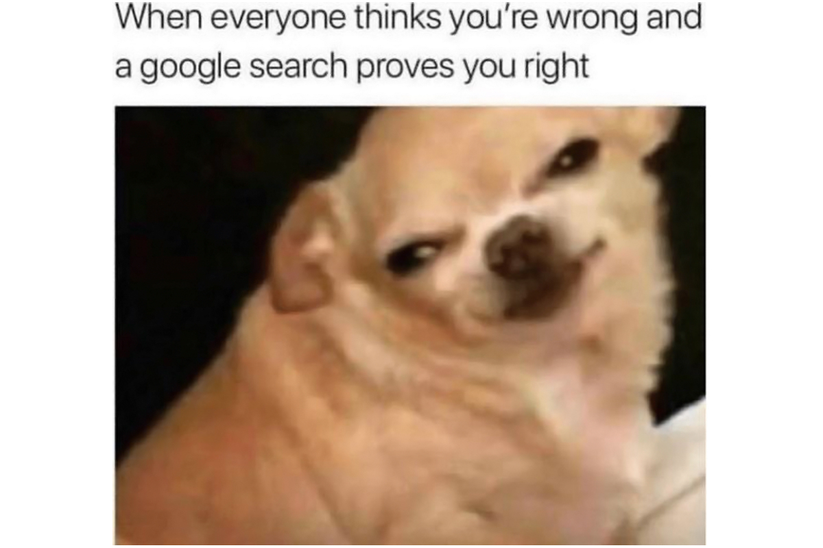 32+ Funny Kiwi Birthday Memes Factory Memes