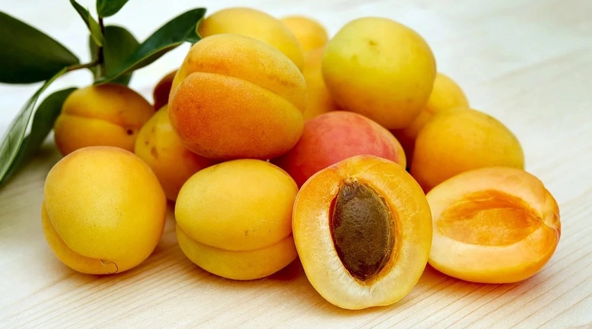 National Apricot Day 2020 From Glowing Skin to Weight Loss, 5 Reasons
