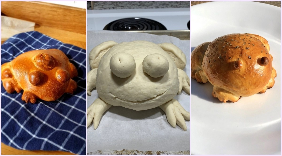 Food News Frog Bread is Latest Food Trend on TikTok! People Bake