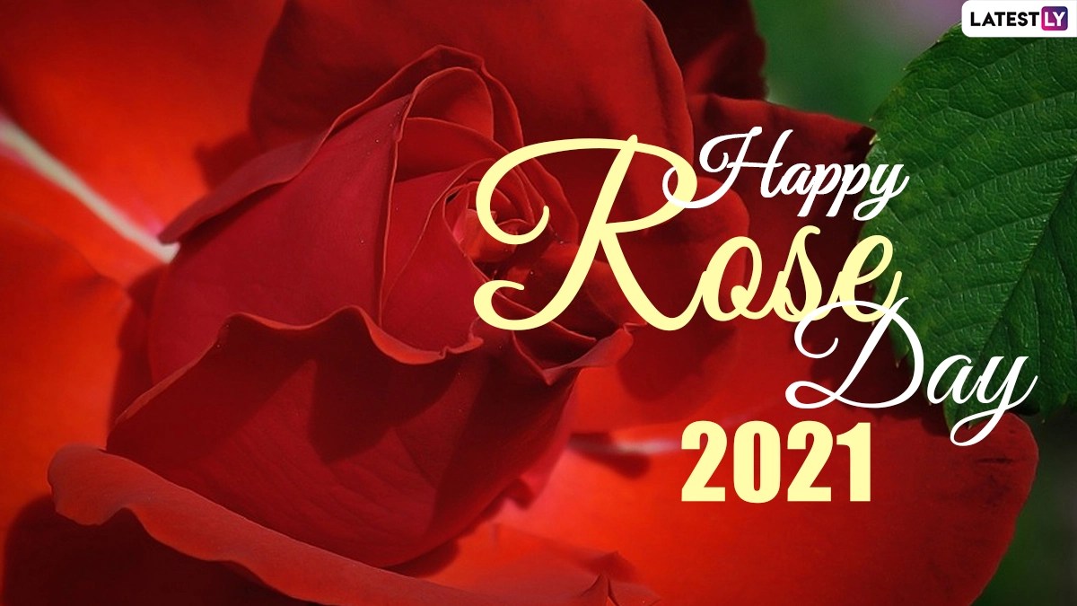 Rose Day Images & HD Wallpapers for Free Download Online Wish Happy