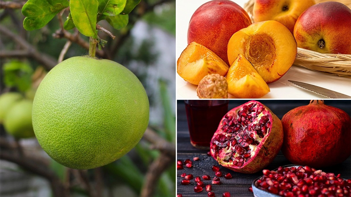 Lifestyle News Five Lucky Fruits For 2022 To Attract Good Luck And