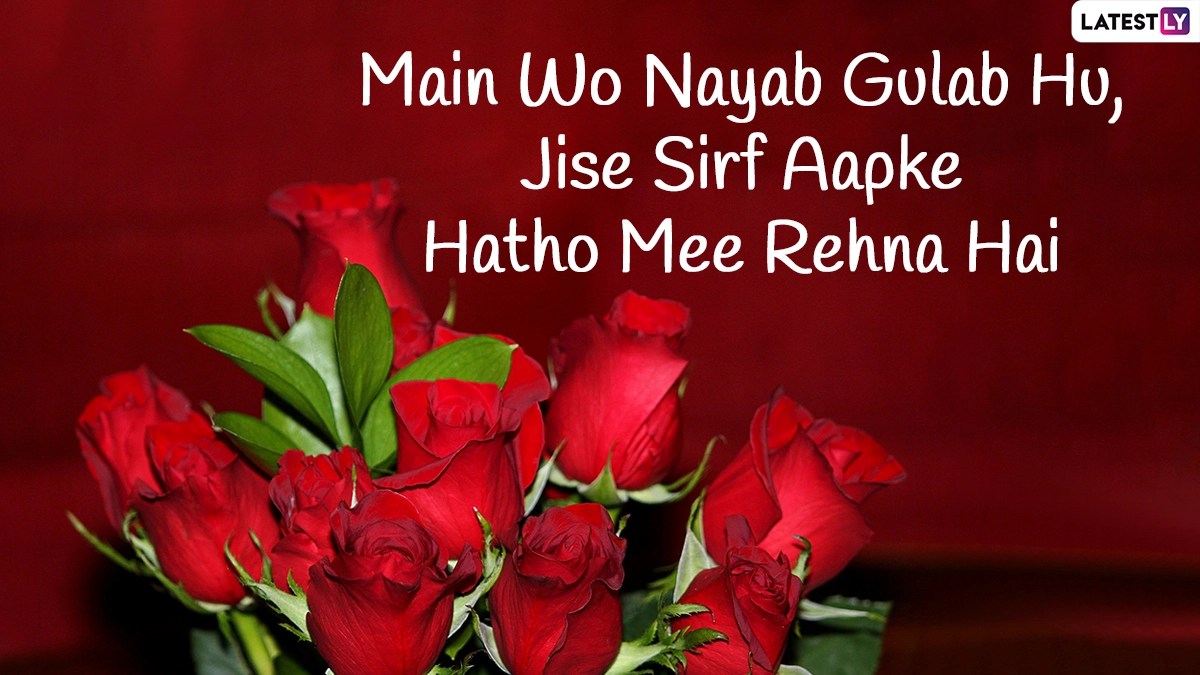 Shayari On Rose Flower In English Best Flower Site