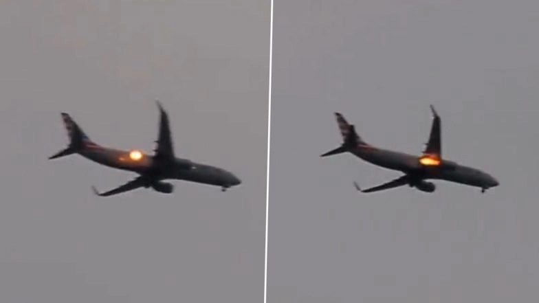 American Airlines Plane Engine Catches Fire Mid-Air After Possible Bird