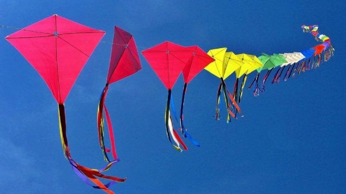 Agency News What Makes Kite Flying Tradition So Special in India