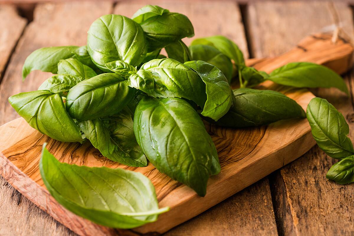 Feeling Bloated? 7 Ayurvedic Herbs To Help You Get Rid of Abdominal Gas