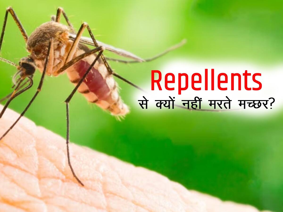 Repellents लगाकर मच्छर से बचने की चालाकी होगी नाकाम, मच्छरों ने ढूंढ