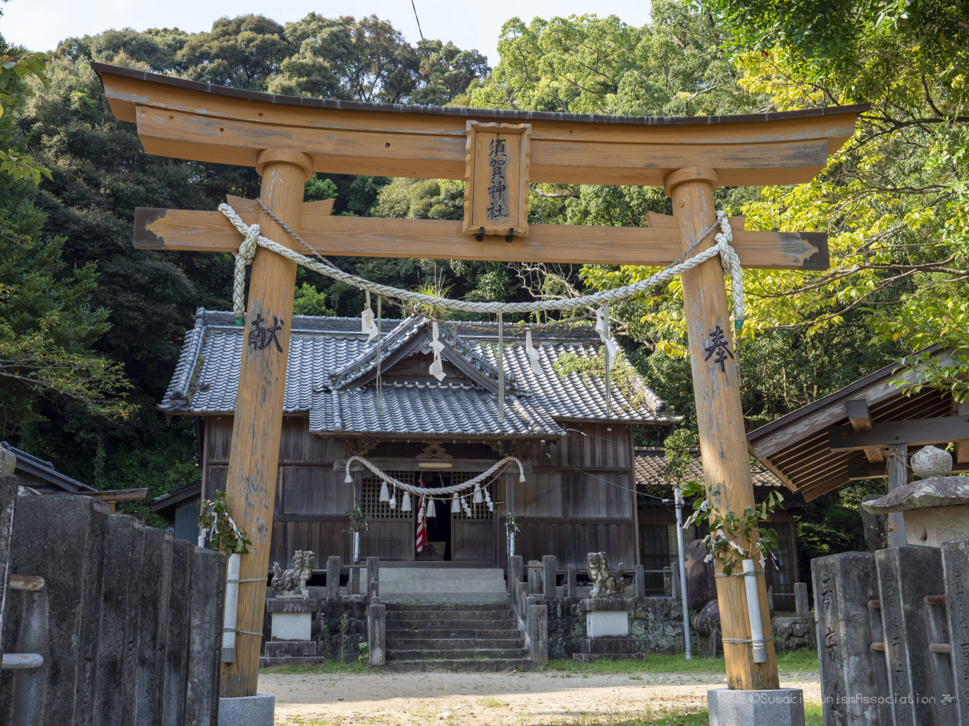 須賀神社（大谷の楠） 須崎市観光協会ホームページ