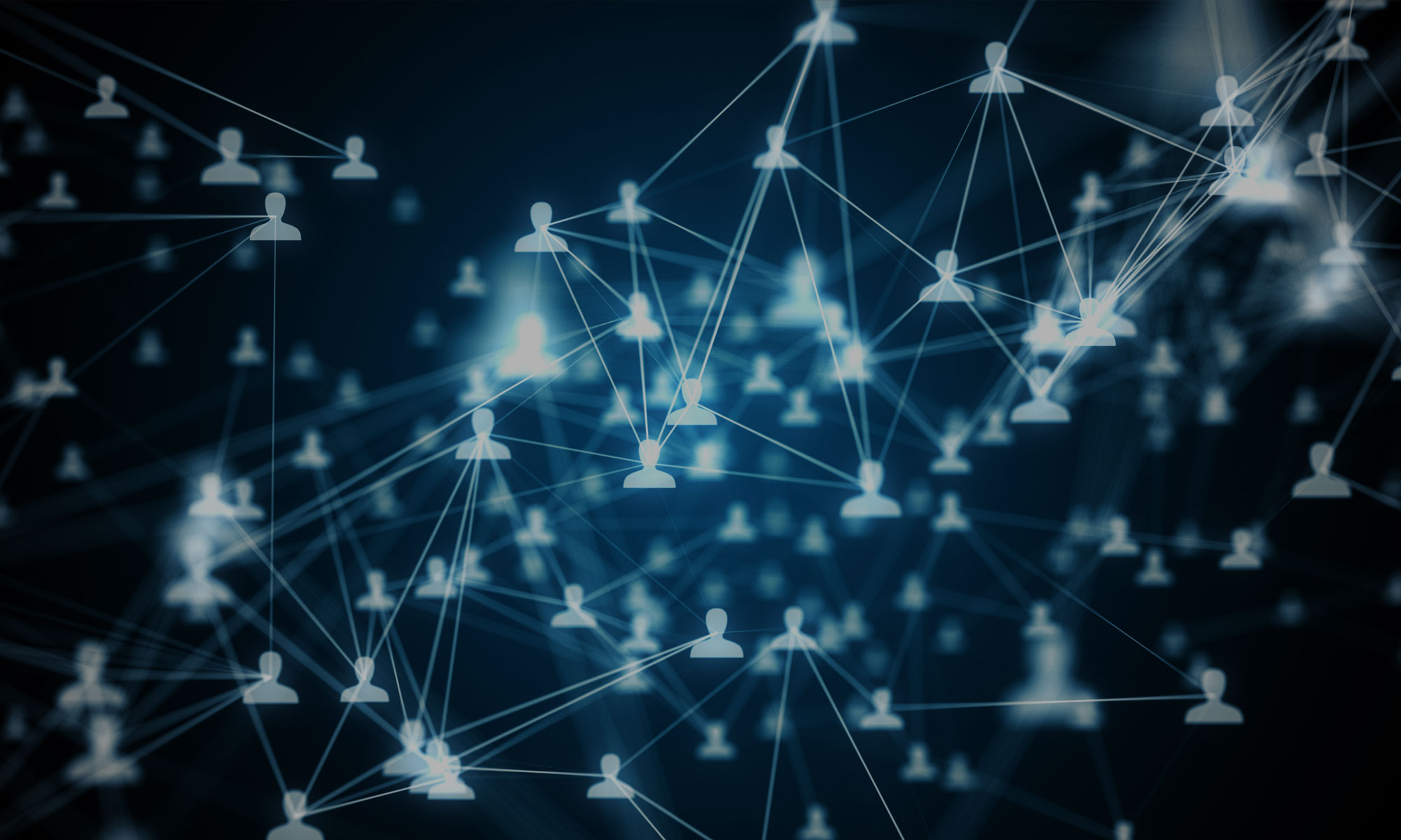 Stability Networks Why Us code background with question