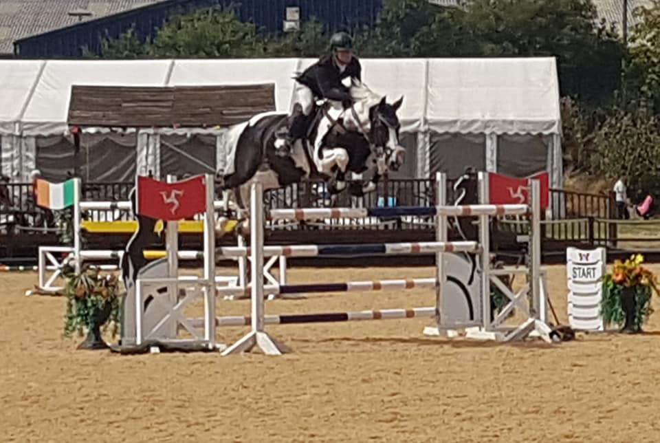 High Offley Fernando Coloured Sport Horse Stallion Stable Express
