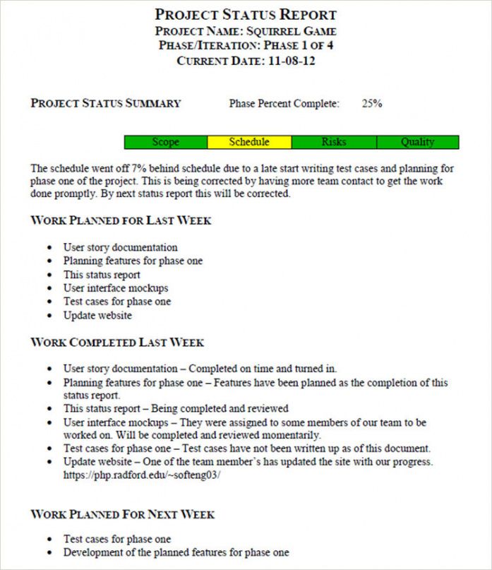Business Development Report Template