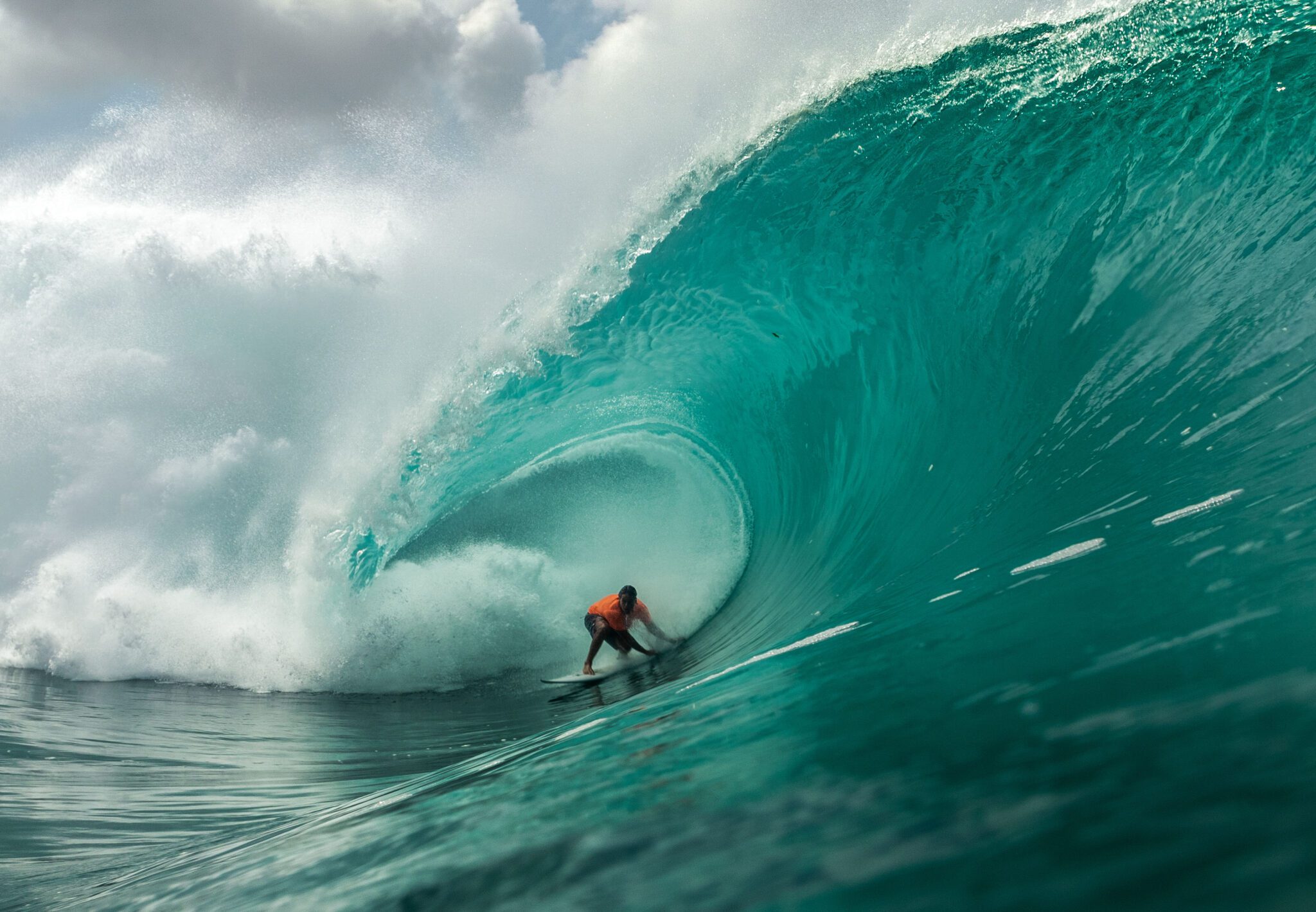 You Read The Book, Now Watch The Movie Nic Von Rupp And Nate Behl At