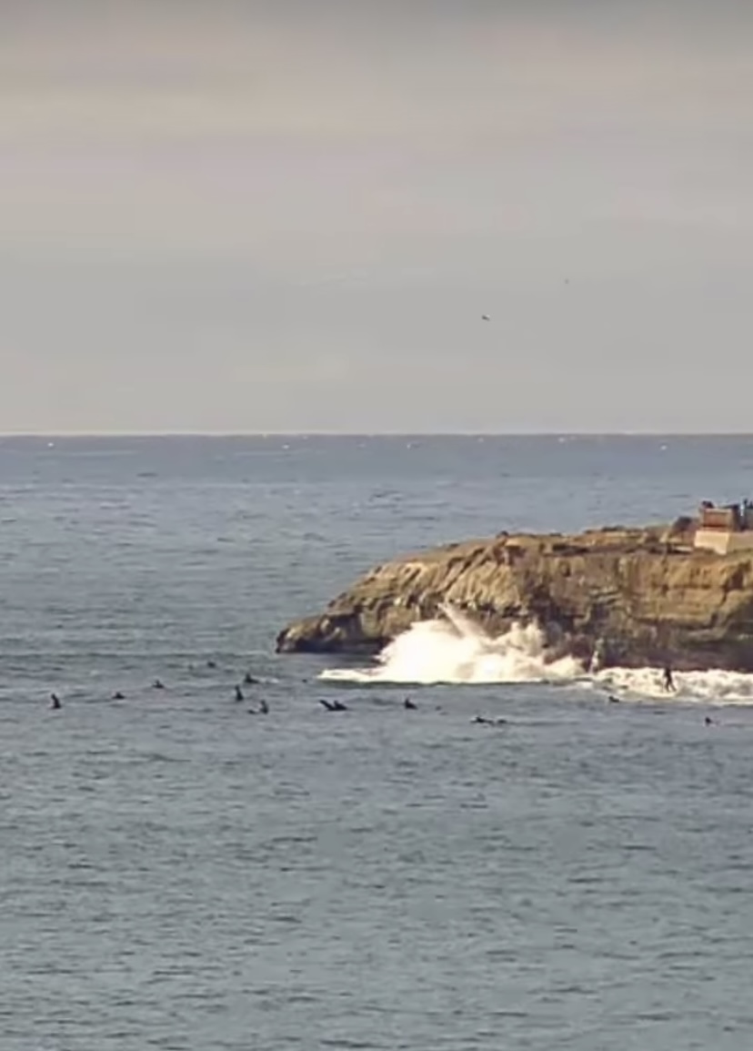 Steamer Lane Cliff Breaks After One Too Many Acid Drops Stab Mag