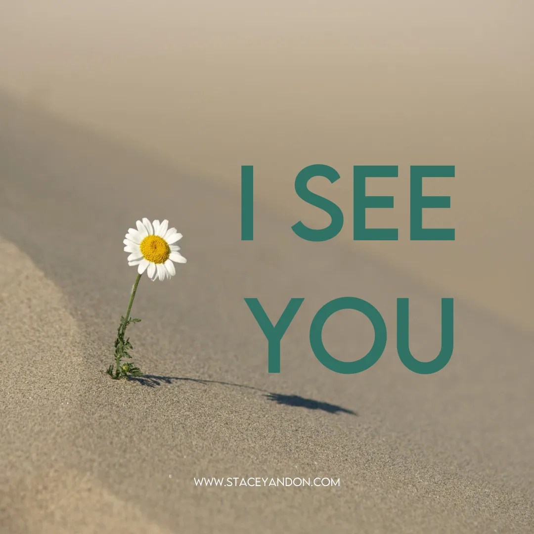 I See You Stacey Andon