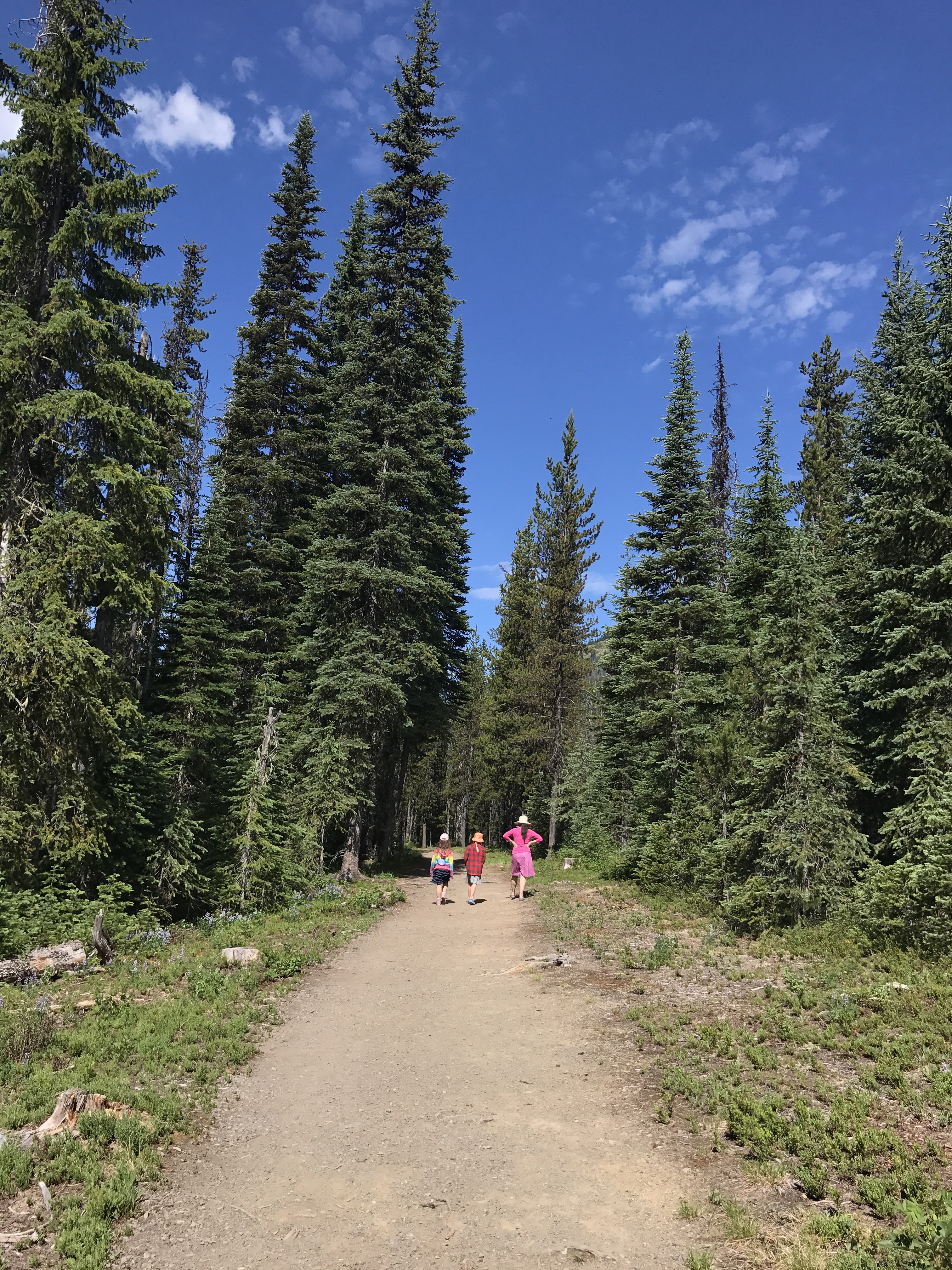 Manning Park; Lightning Lakes Air Quality Stacey Robinsmith dot com
