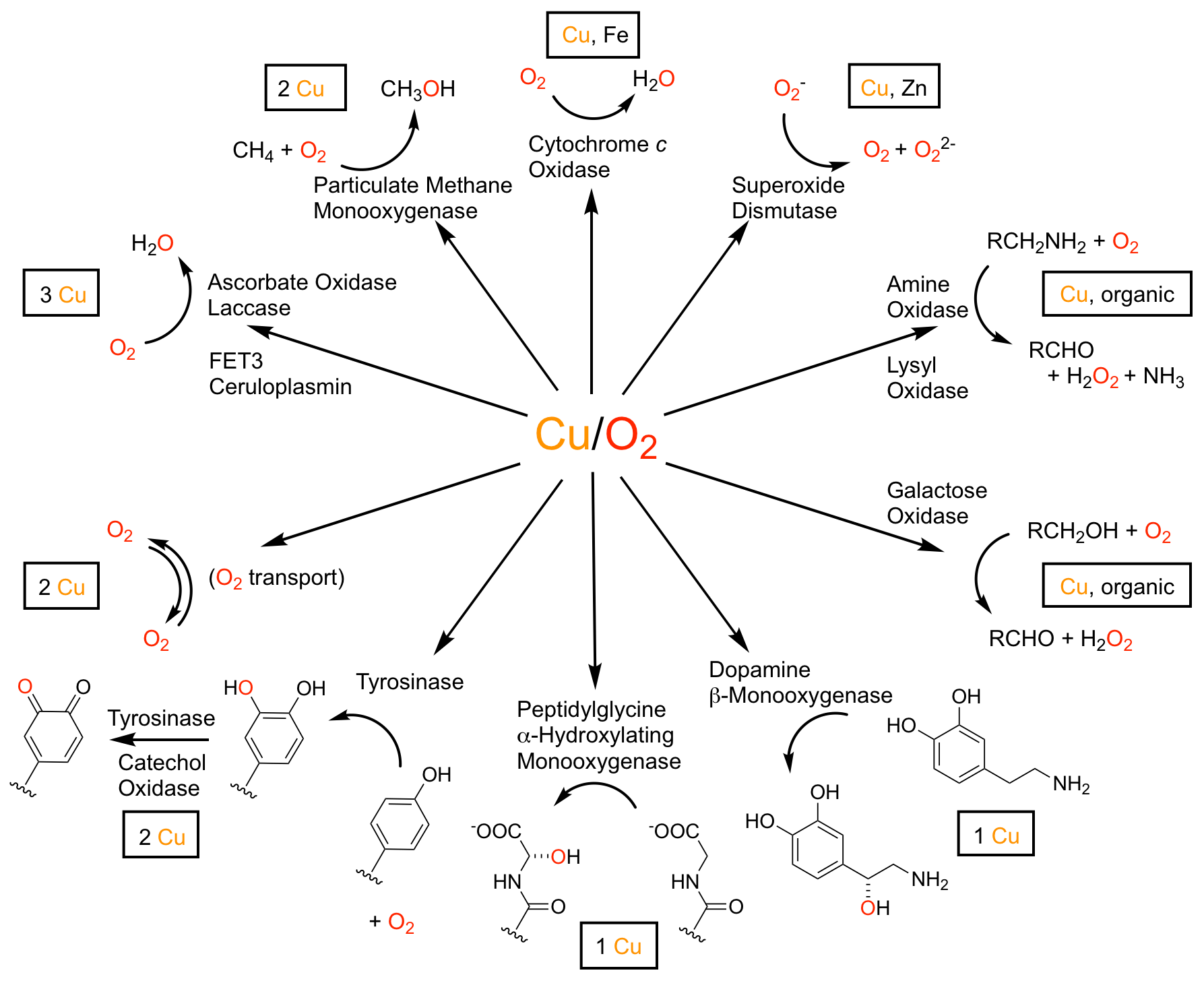 Stanford University Stack Research Group