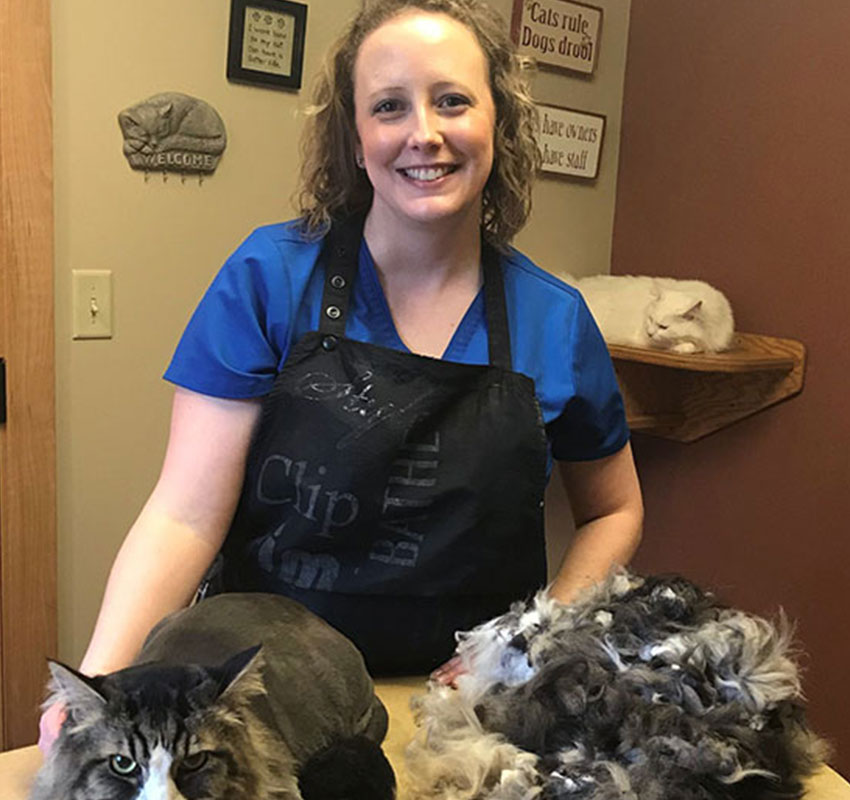 Grooming Vet in Syracuse Stack Veterinary Hospital