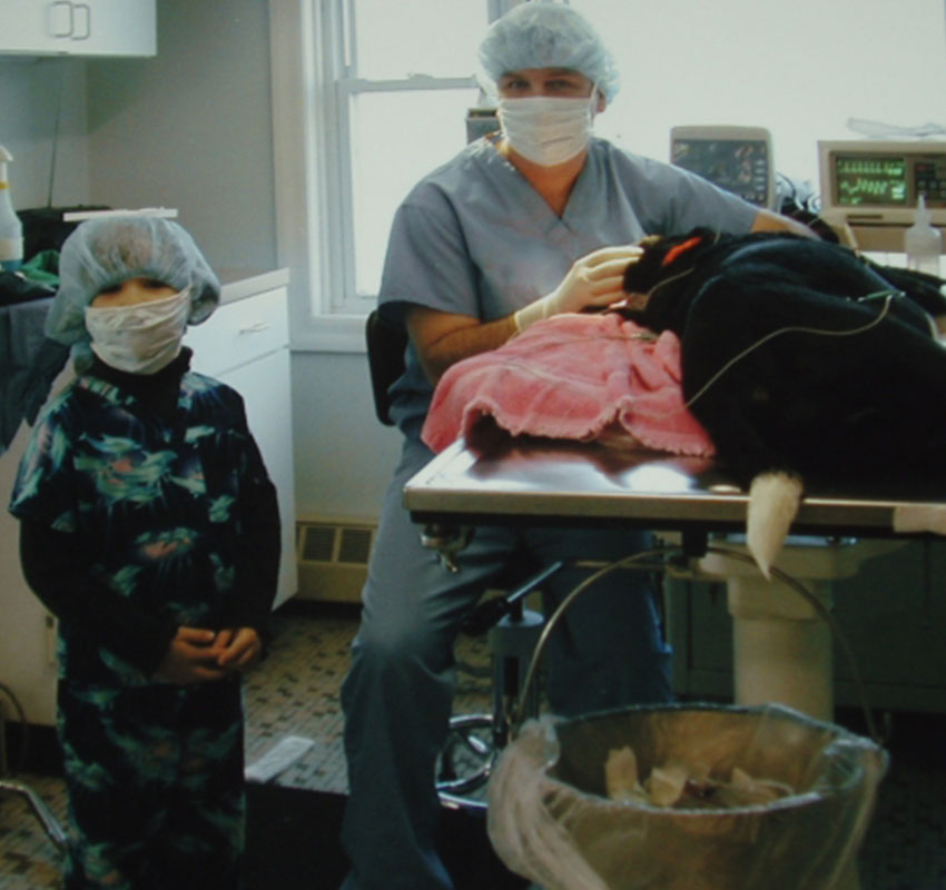 History Vet in Syracuse Stack Veterinary Hospital