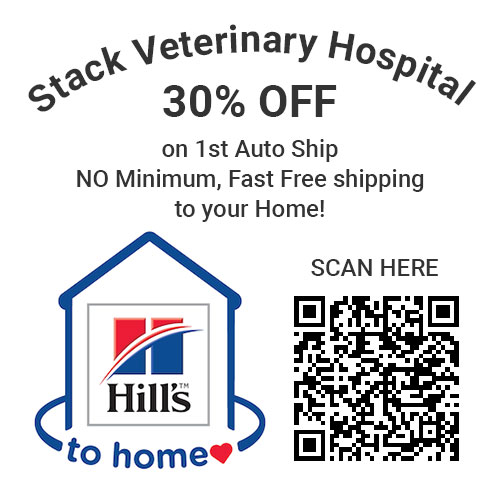 Hill's To Home Vet in Syracuse Stack Veterinary Hospital