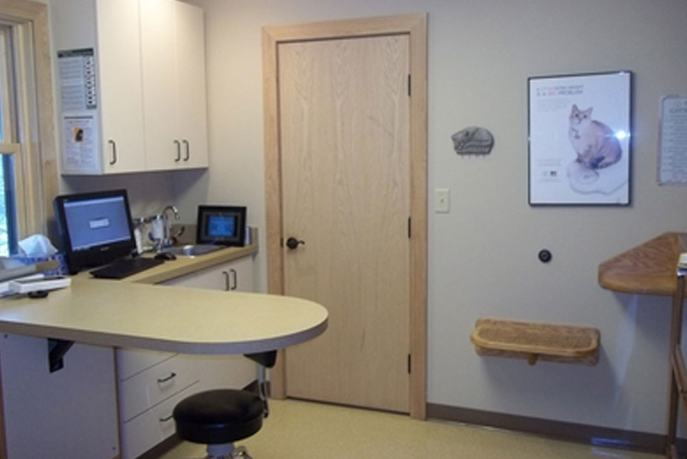 Explore Stack Vet in Syracuse Stack Veterinary Hospital